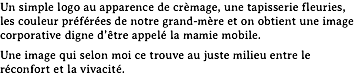 Un simple logo au apparence de crèmage, une tapisserie fleuries, les couleur préférées de notre grand-mère et on obtient une image corporative digne d’être appelé la mamie mobile.
Une image qui selon moi ce trouve au juste milieu entre le réconfort et la vivacité.
